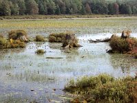 photos 2000-200901752